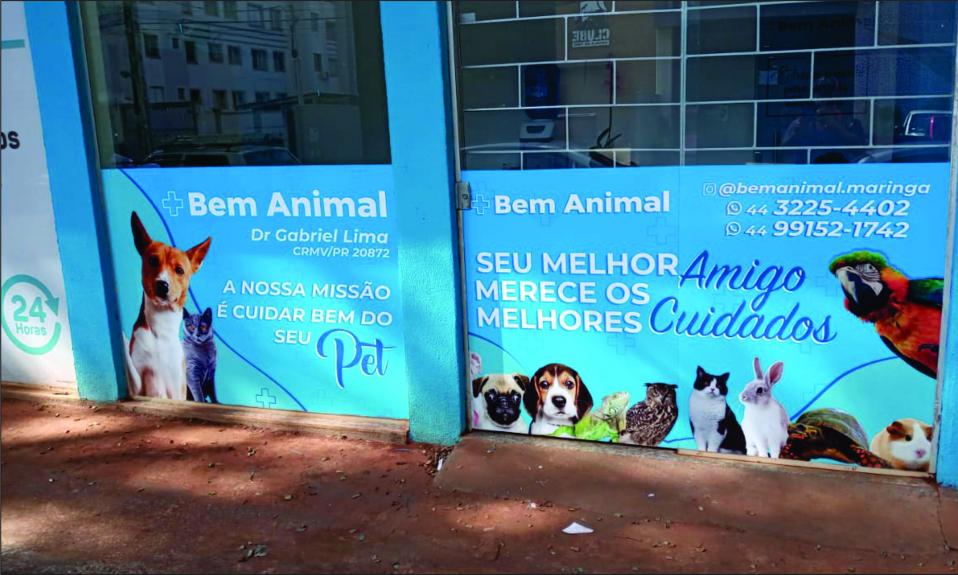 adesivos